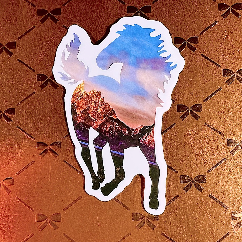 Scenic Equestrian Horse Girl Horse Boy Cowboy CowGirl Single Decor Wat…